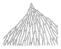 Plagiothecium lamprostachys, leaf apex. Redrawn from Ireland (1992).
 Image: R.C. Wagstaff © Landcare Research 2018 
